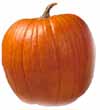 v_pumpkinautumn.jpg